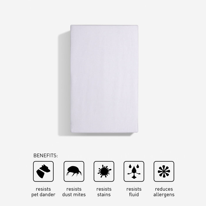 iProtect - Sofa Bed Mattress Protector Bedgear