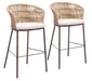 Freycinet - Barstool (Set of 2) Zuo Modern