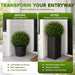 Solhome - Square Planter Box For Patio - Black Daily Nest