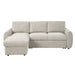 Nuriel - Reversible Sectional Sofa With Sleeper & Storage ACME