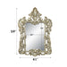 Sorina - 59" Mirror - Antique Gold ACME