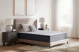 Anniversary Edition Plush - Mattress Ashley Sleep®
