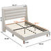 Modern Upholstered Platform Bed With Wave Shaped Headboard Home Essentials