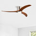 Flush Mount Fan Light, 3 Blades Ceiling Fan With Lights Remote Control, Quiet DC Motor, 6 Speed - Nickel Daily Nest