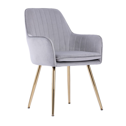 Modern Mid Back Dining Chairs Home Essentials
