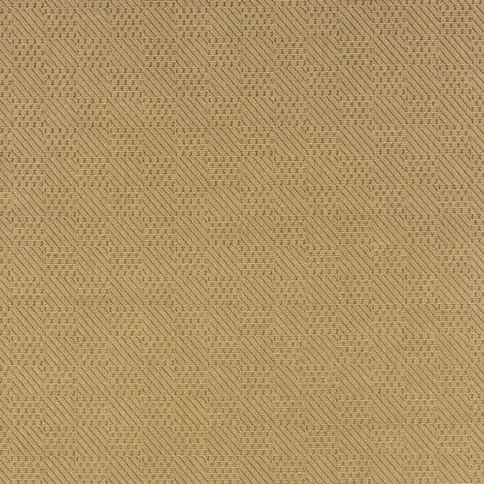 2' X 4' Area Rug Indoor / Outdoor - Beige