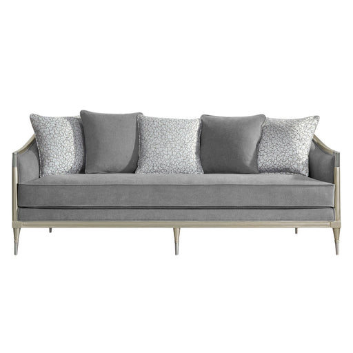 Fernando - Sofa With 5 Pillows - Champagne / Gray Acme