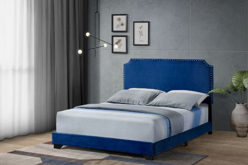 Haemon - Bed ACME