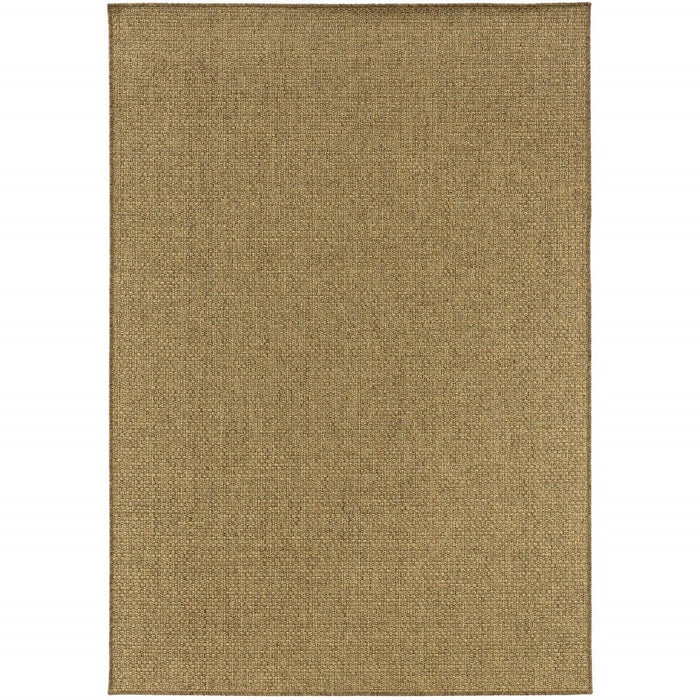 4' X 6' Indoor / Outdoor Area Rug - Tan