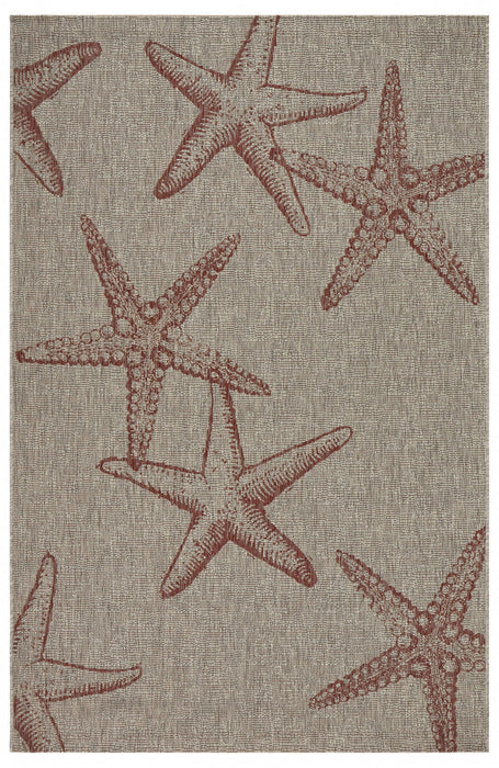 3' X 5' Starfish Indoor / Outdoor Area Rug - Gray