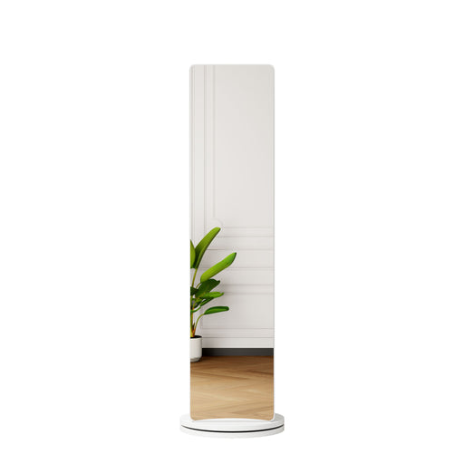 3 In 1 Multifunctional Full Length Clothing Mirror Daily Nest