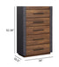 Jensen - Drawer Chest - Tavern Brown Magnussen Furniture