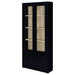 Idaho - 4 Shelf Display Cabinet Furniture Max