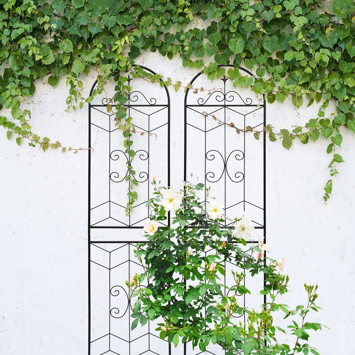 Garden Trellis, Rustproof Support For Climbing Plants Daily Nest