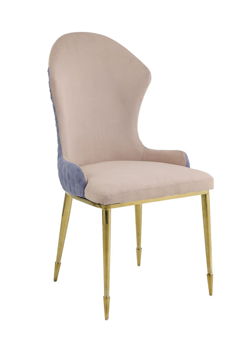 Caolan - Side Chair (Set of 2) - Tan Acme