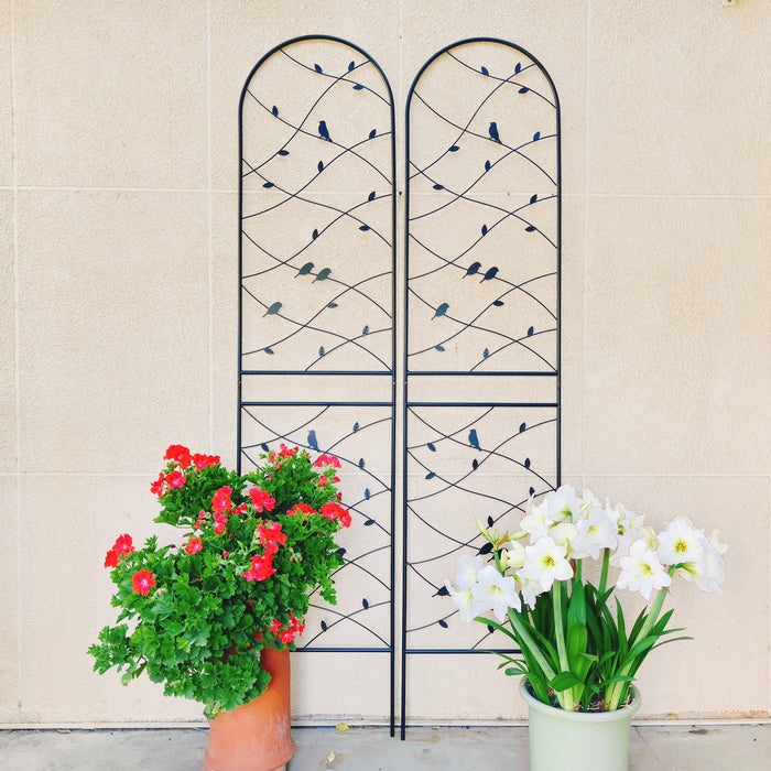 Garden Rustproof Trellis For Climbing Plants Daily Nest