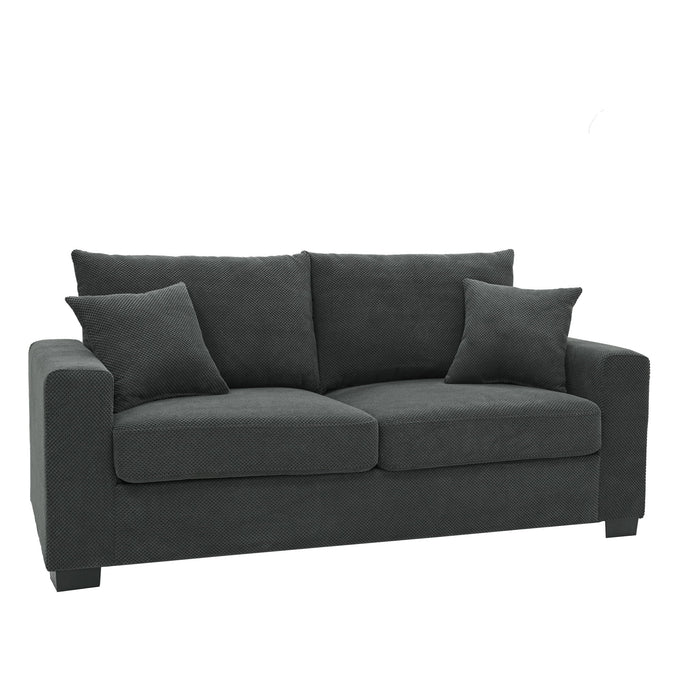 2 Seater Sofa, 2 Throw Pillows For Living Room Home Essentials
