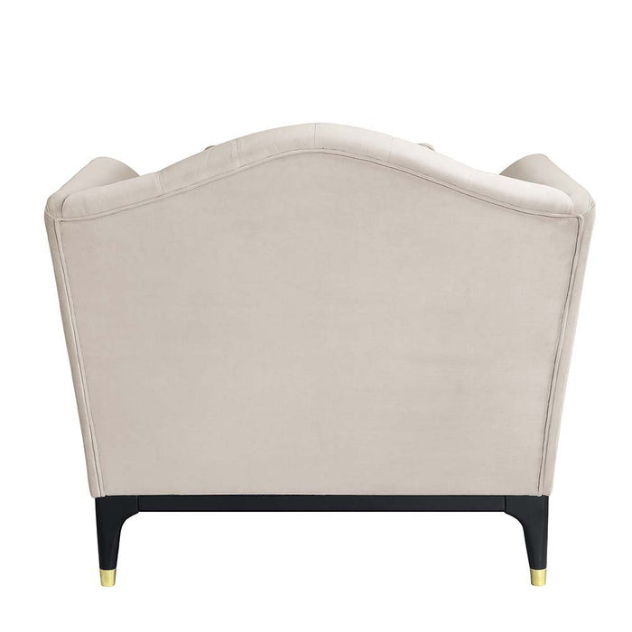 Tayden - Chair With 2 Pillows - Beige Velvet ACME