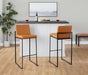Fuji - Contemporary High Back Barstool Elegant Design Lumi Source