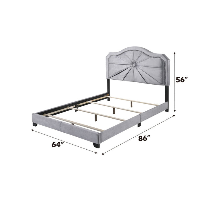 Frankie - Queen Bed - Gray Velvet ACME