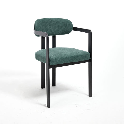 Dining Arm Chairs (Set of 2) Home Essentials