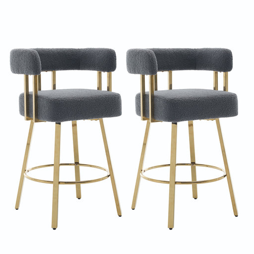 Decorative Upholstered Side Chair For Living Room (Set of 2) Home Essentials