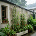 Metal Garden Rustproof Trellis For Climbing Plants Outdoor Flower Support Daily Nest