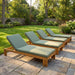 Outdoor Chaise Lounge With 5 Position Adjustable Backrest Noble House