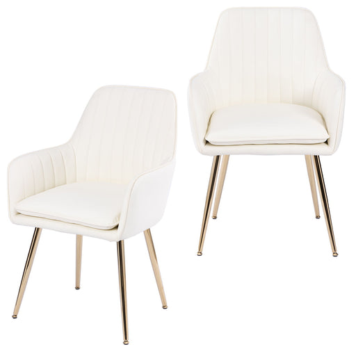 Modern Mid Back Dining Chairs Home Essentials