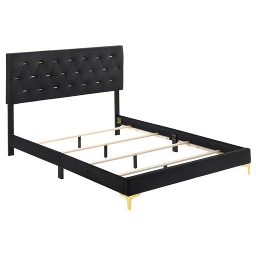 Lexie - Tufted Panel Bed Furniture Max