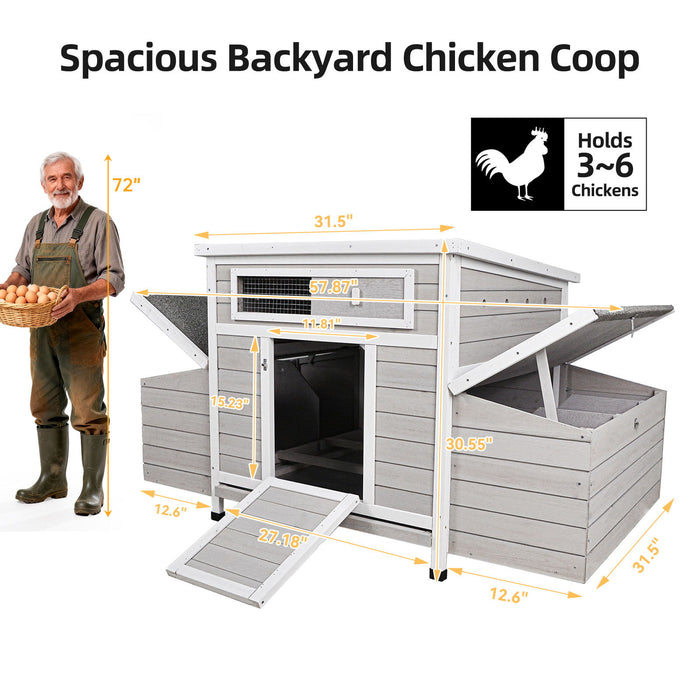 Large Chicken Coop Outdoor Hen House With Dual Nesting Boxes Daily Nest
