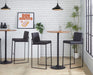Fuji - Contemporary High Back Barstool Elegant Design Lumi Source
