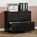 Lateral File Cabinet, Heavy Duty Filing Holds Letter/Legal/A4 Files Home Essentials