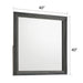 Colorado - Square Mirror (Dresser Not Included) - Charcoal Matrix Furniture Group
