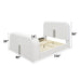 Shelyn - Bed With LED, TV Stand, Fireplace & Bluetooth Acme