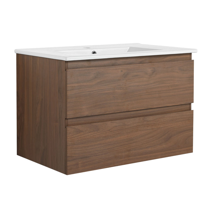 Wall Mounted Bathroom Vanity & Sink, 2 Soft Close Drawers Home Essentials