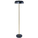 Vesper - Floor Lamp - Black Ashcroft Furniture