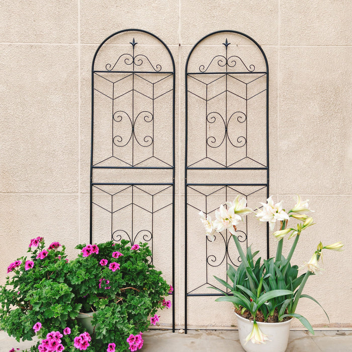 Garden Trellis, Rustproof Support For Climbing Plants Daily Nest