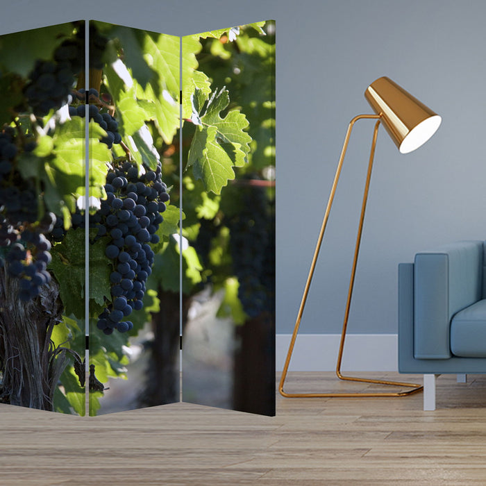 Wood Canvas Wine Country Screen - Multi Color