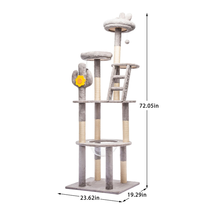 Cactus Cat Tree With Transparent Capsule Daily Nest