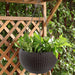 Self Watering Hanging Planter Daily Nest