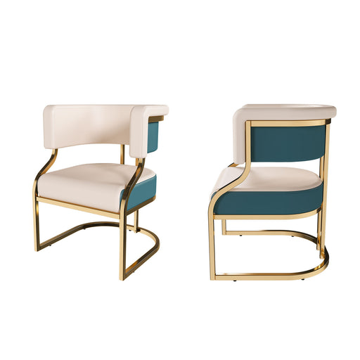 Dining Chairs Ergonomic Curved Backres (Set of 2) - Blue / Neutral Home Essentials