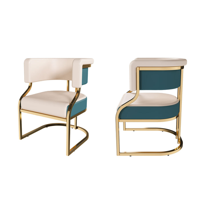 Dining Chairs Ergonomic Curved Backres (Set of 2) - Blue / Neutral Home Essentials