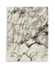 Worthbrook - Rug Signature Design by Ashley®