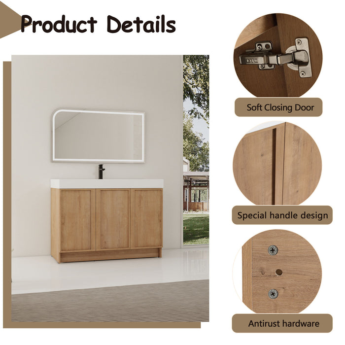 Freestanding Bathroom Vanity With Sink, Soft Close Doors Home Essentials