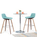Randolph Bentwood - Counter / Bar Height Stool (Set of 2) Simpli-Home