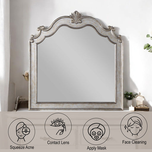 Esteban - Mirror - Antique Champagne ACME
