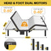 Ergonomic Adjustable Bed & Zero Gravity Base Daily Nest