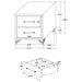Chesney - 2 Drawer Nightstand With Trim, Bedroom Side Table - White Furniture Max