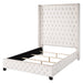 Fabrice - Bed ACME